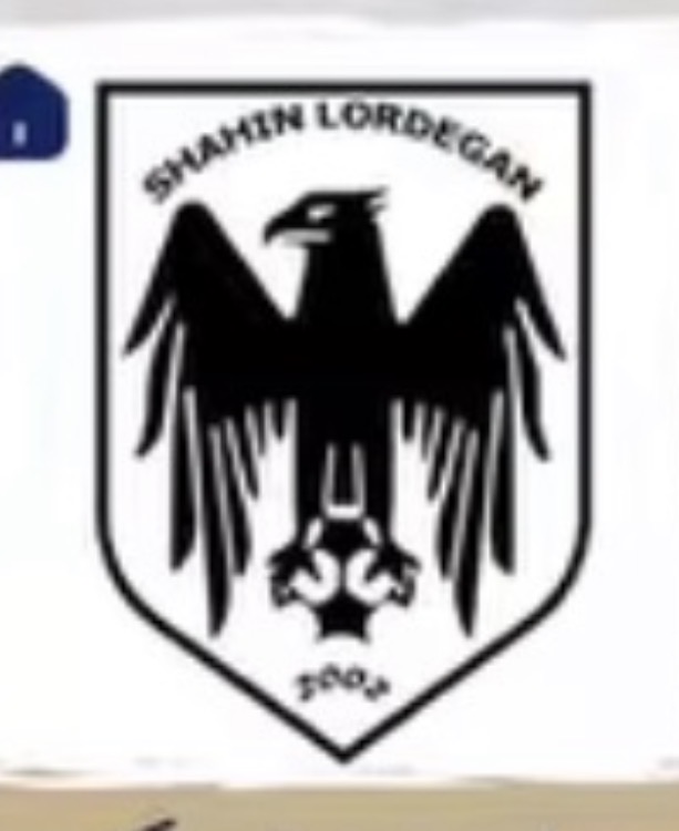 شاهین لردگان