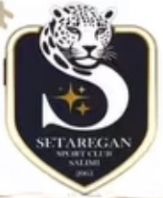 ستارگان سلیمی