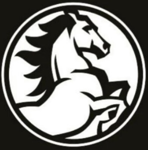 رخش خودرو تبریز